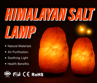 Lampe de sel rose de l'Himalaya en cristal naturel poli sculpté de haute qualité écologique connectée par USB pour la décoration de la maison