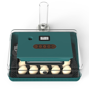 Mini automatique numérique incubateur plateau outils en plastique canard caille plateau équipement <span class=keywords><strong>oeufs</strong></span> <span class=keywords><strong>25</strong></span> oiseau volaille <span class=keywords><strong>oeufs</strong></span> incubateur à couver - Product Image 1