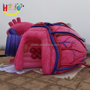 Corazón inflable médico biónico, personalizado, modelo 3D - Product Image 6