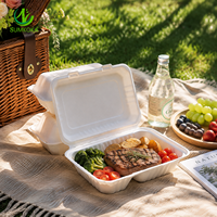 Sumkoka Contenant alimentaire jetable en bagasse de canne à sucre, 9*6 pouces, à deux compartiments, biodégradable, micro-ondable et compostable, type clamshell