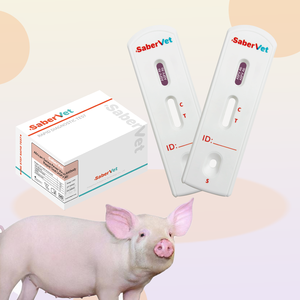 Sabervet 도매 빠른 테스트 아프리카 돼지 열병 Asfv 빠른 테스트 - Product Image 3