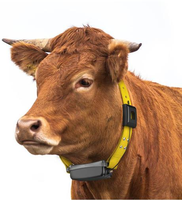 2023 capteur de suivi de bétail très populaire LoRaWAN GPS collier de bétail suivi étanche pour le bétail de vache