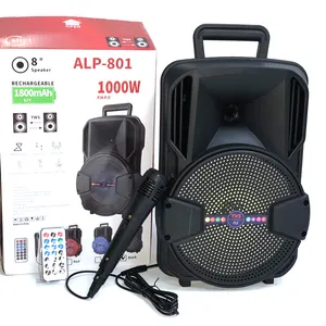 ALP-801 중국 공장 큰 8 인치 스피커 휴대용 스피커 BT TWS 스피커 LED 디스플레이