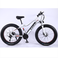 Nouveau design, livraison rapide, cadre en alliage d'aluminium, 21 vitesses, frein à disque, vélo de route électrique 48V, Fat Bike pour adulte