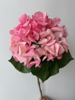 H-041 Hortensia Artificiel Grand Format Effet Naturel Qualité Supérieure Vente en Gros pour Décoration Maison, Mariage ou Noël Pâques