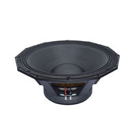 Woofer de 21 Pulgadas, 4000W de Potencia Programable, 97dB para Gabinete de Subwoofer Grande, Sistema de Alquiler de Audio para Escenarios y Festivales al Aire Libre