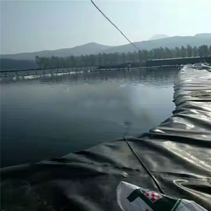 HDPE Sızıntı Önleyici Havuz Düz Dokulu <span class=keywords><strong>Membran</strong></span> 2Mm 1 Mm 1.5 Mm Baraj Kaplaması UV Dayanımlı HDPE Geomembran Tarım Çiftlikleri İçin - Product Image 6