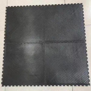 Moule de tapis de sol en plastique souple fabrication personnalisée moule de tapis de bain en PVC pour injection