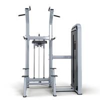 Mesin Chin Dip dan Pull Up Bertenaga Pin untuk Penggunaan Komersial dan Rumahan, Mesin Bantu Pull Up dan Chin Dip untuk Latihan Kekuatan di Gym