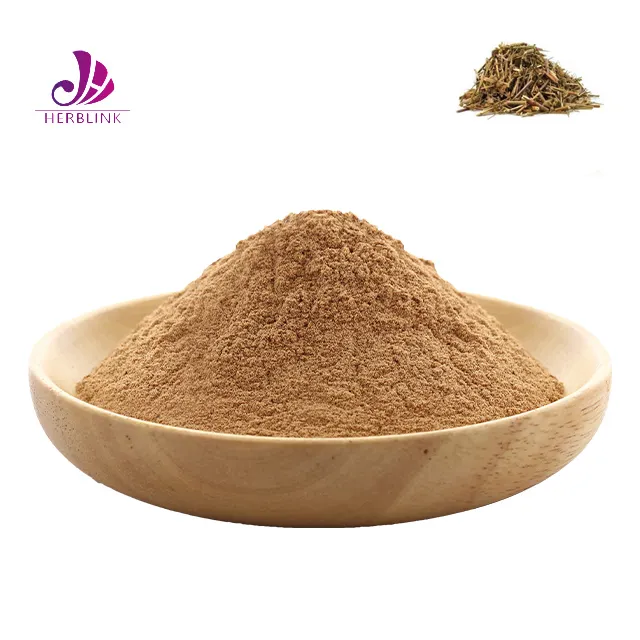 Manufacturer supply Golden Wattle Extract Powder Acacia Farnesiana Extract 10:1 Powder