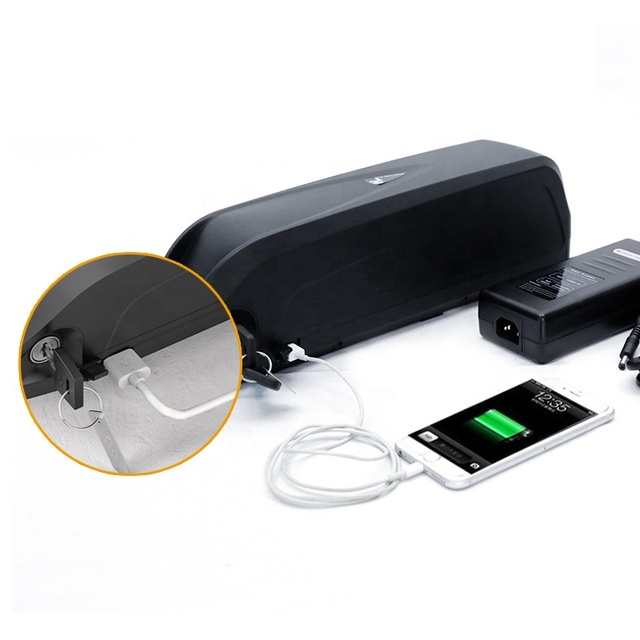 Hailong High Power Lithium Ion Battery 48V 1000W for Electric Bike 36v 52v 60v 72v 20ah 40ah Lithium Ebike Battery Pack