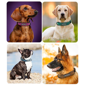 <span class=keywords><strong>Collar</strong></span> ajustable de cuero de doble capa para mascotas, <span class=keywords><strong>collar</strong></span>ín de lujo con etiquetas personalizadas, cómodo, acolchado, resistente al agua, con etiqueta de nombre - Product Image 6