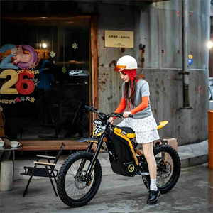 Motocicleta Eléctrica Todoterreno para Adultos LYNX 72V 10kW 410Nm Torque 85km/h Velocidad 120km Autonomía Cuadro de Aluminio Suspensión Hidráulica - Product Image 3