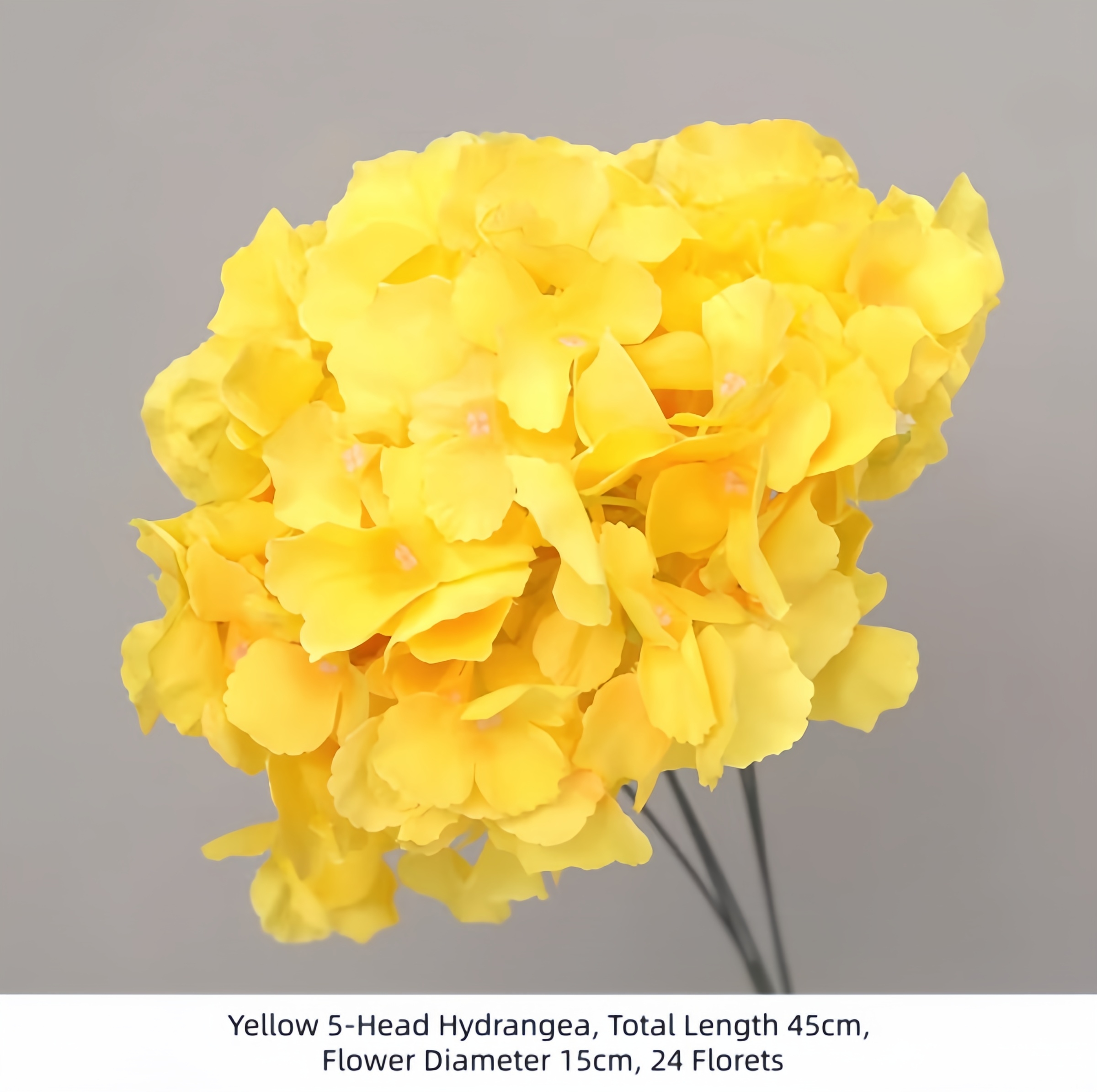 Yellow 5-Head Hydrangea