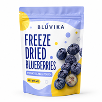 Op maat gemaakte bedrukte verpakkingstas, staande pouch met hersluitbare ritssluiting voor gevriesdroogde bosbessen fruit snacks, eigen label