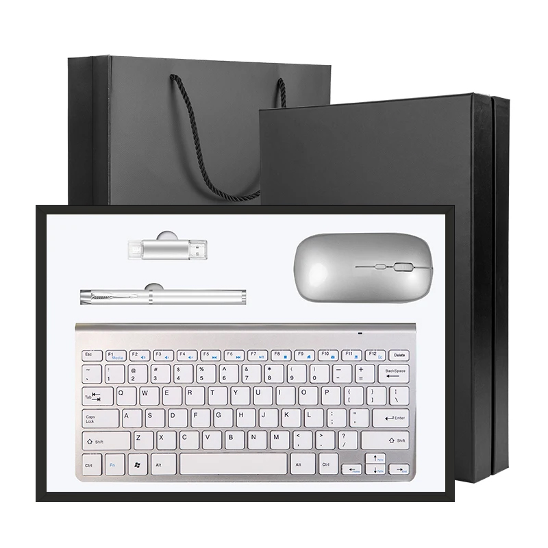 argento-(USB+penna+tastiera+mouse)