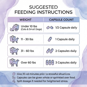 Capsules calmantes pour animaux de compagnie OEM pour chiens et chats, complément anti-anxiété, soutien contre le stress, formule vétérinaire à étiquette privée - Product Image 5