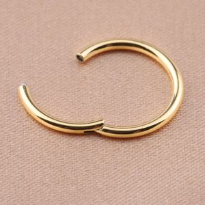 Anillo <span class=keywords><strong>de</strong></span> <span class=keywords><strong>titanio</strong></span> con segmento <span class=keywords><strong>de</strong></span> bisagras para <span class=keywords><strong>nariz</strong></span>, diseño <span class=keywords><strong>de</strong></span> aro dorado para <span class=keywords><strong>nariz</strong></span>, <span class=keywords><strong>Piercing</strong></span> corporal a granel - Product Image 3