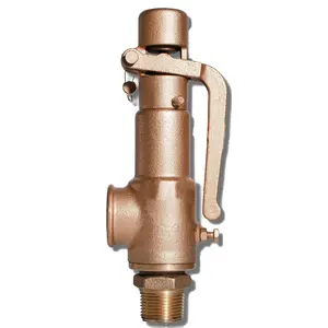 Hochwertiges Sicherheits ventil mit leicht geöffnetem Gewinde Hochdruck-Thermo-Sicherheits vorrichtung Messing-Sicherheits ventil