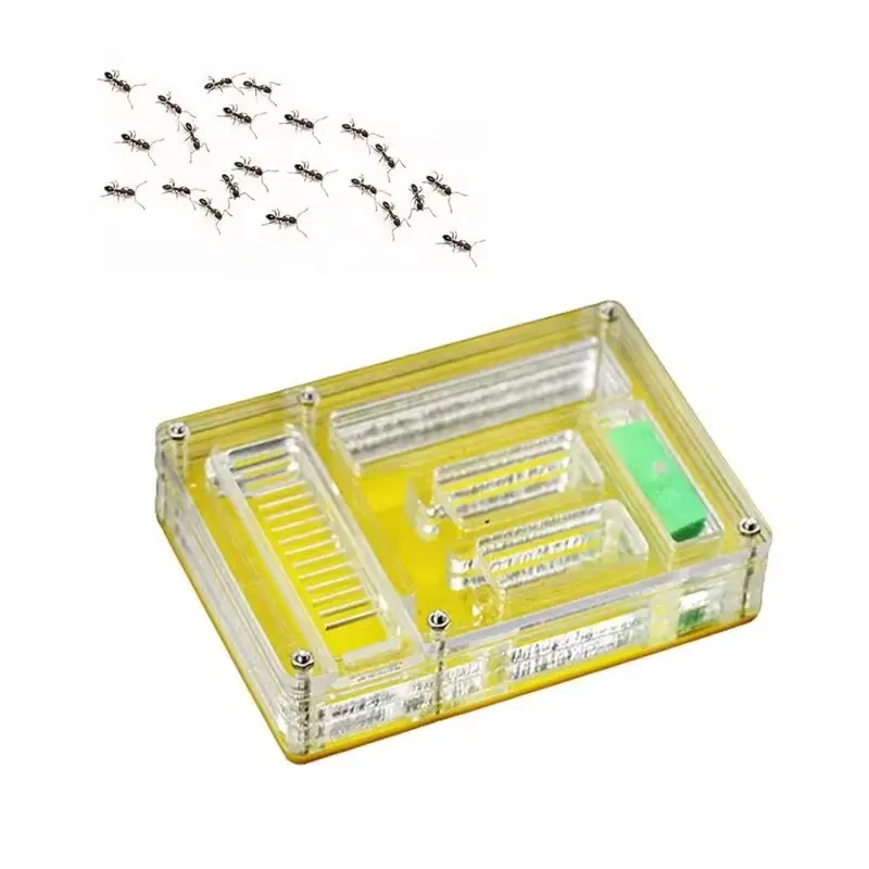 Torre de hormigas profesional personalizada para observación biológica pequeña nido de hábitat educativo caja acrílica de plástico hormigas de granja portátil