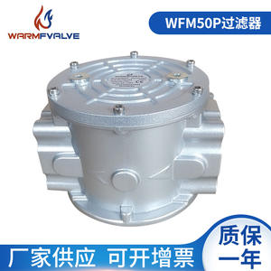 อุปกรณ์กรองอุตสาหกรรม DN50 สำหรับกรองก๊าซธรรมชาติและก๊าซปิโตรเลียมเหลวสำหรับกรองก๊าซในท่อ - Product Image 4