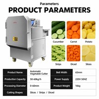 Industriële roestvrijstalen elektrische groentesnijder voor aardappelchips, wortel, banaan, mango en verse producten