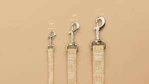 La Correa Ace - Product Image 2