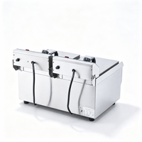 Friteuse électrique professionnelle en acier inoxydable avec 2 cuves, 2 paniers, capacité de 16 L, montée en température rapidement
