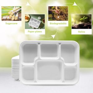 Plateau repas en bagasse robuste à 6 compartiments pour la vente en gros |   Plateau repas jetable en fibre de canne à sucre biodégradable pour restaurants - Product Image 5