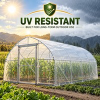 Film plastique pour serre 200 microns, résistant aux UV, en PE, pour couverture agricole, robuste, imperméable, diffuseur de lumière, anti-goutte.