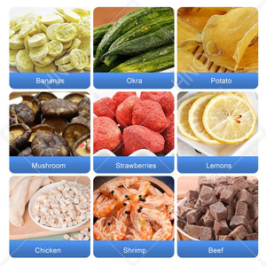 Hnoc liofilizador de liquidos ไข่มังกรผลไม้แช่แข็งเครื่องอบแห้ง100กก. 120กก. อาหาร - Product Image 6