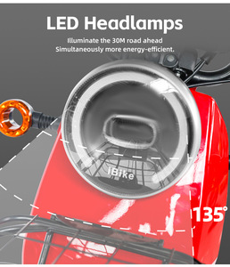 Scooter Eléctrico de 350W - Batería de Plomo-Ácido de 48V 20Ah, Neumático de 14 Pulgadas, Freno de Disco, Marco de Acero al Carbono, Carga Máxima de 150 kg - Product Image 5