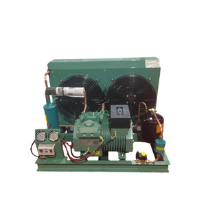 Compresseur frigorifique Bitzer 2DES-2 de type piston pour entrepôts frigorifiques de légumes, fruits et fleurs - Product Image 3