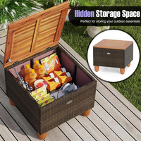 Ensemble de salon de jardin en osier tressé avec table basse de rangement – Vente chaude