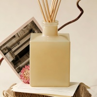 Vente flash : flacon carré en verre de 100 ml, diffuseur de parfum à bâtonnets, huile essentielle naturelle de luxe, parfum d'ambiance, diffuseur de parfum à bâtonnets pour la maison