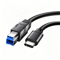 Câble d'imprimante USB C vers USB 3.2 Gen2 Type B, cordon de transfert de données USB3.0 10Gbps pour boîtier de disque dur 0.5M-5M