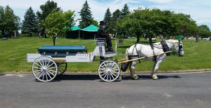 Corbillard tiré par des chevaux de transport spécial/voiture funéraire de décoration de fleurs/corbillard funéraire électrique à basse vitesse à vendre - Product Image 4