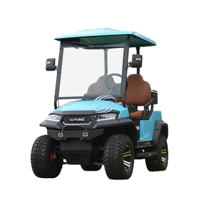 Voiturette de golf électrique 2 places 48V 5kW, structure simple, entretien facile - Product Image 3