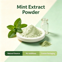 Extrait de menthe soluble dans l'eau à haute solubilité, extrait de menthe à mailles fines pour boissons, bonbons, chewing-gums, matière première de transformation