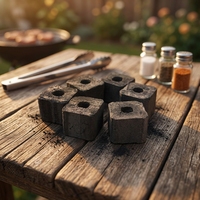 Briquettes de charbon de bois noir premium en cubes, en bambou pur, pour chicha, allumage instantané, vente en gros usine