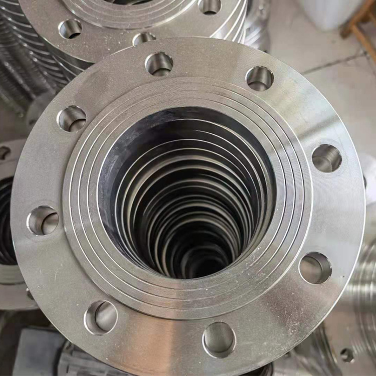 Specialized Production Forged Carbon Steel Flange And Stainless Steel Flange