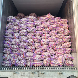 Alho Fresco Roxo em Saco de 5kg Embalagem a Granel Atacado - Product Image 1