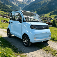 Voiture électrique mini EV à deux portes et deux places, sans permis, quatre roues, 45 km/h, pour adultes, fermée, certifiée EEC / COC / CE