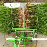 Semoir manuel Birui à 2 rangs pour riz – Machine agricole à pousser pour la plantation de semences de riz paddy