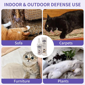 Cat Deterrent <strong>Spray</strong>, Natural, Non-Toxic Anti-Scratch <strong>Spray</strong> for Cats &amp; Kittens, Furniture &amp; <strong>Carpet</strong> <strong>Protector</strong> - Product Image 4