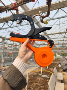 Machine robuste pour le ligature des plantes, idéale pour le soutien des vignes, des tomates et des fruits <span class=keywords><strong>de</strong></span> <span class=keywords><strong>la</strong></span> <span class=keywords><strong>passion</strong></span> - Product Image 4