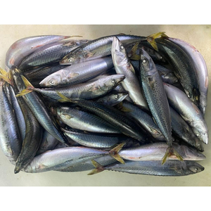 Sardinas Congeladas al por Mayor, Sardinas Congeladas a Granel, <span class=keywords><strong>Precio</strong></span> por Tonelada de Pescado Congelado 6-8 - Product Image 4