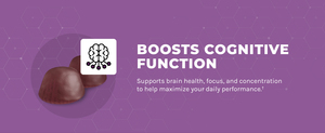 OEM ODM Organic Mushroom <b>Gummy</b> Lion's Mane and Chaga Blend for Focus & Immunity Support - Product Image 6