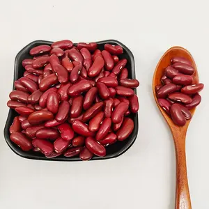 Factory Directly Wholesale High Quality Dark Red Kidney Beans Long Shape Kidney Beans