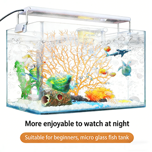 Acuario Rectangular Ecológico de Vidrio HD Curvado en Caliente, <span class=keywords><strong>Precio</strong></span> de Fábrica, para Peces Dorados, Bettas, <span class=keywords><strong>Guppys</strong></span>, Tortugas, para Escritorio o Sala de Estar - Product Image 3